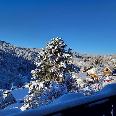 Grosse Ferienwohnung In Ruhiger Lage Mit Toller Aussicht In Triberg Триберг Экстерьер фото