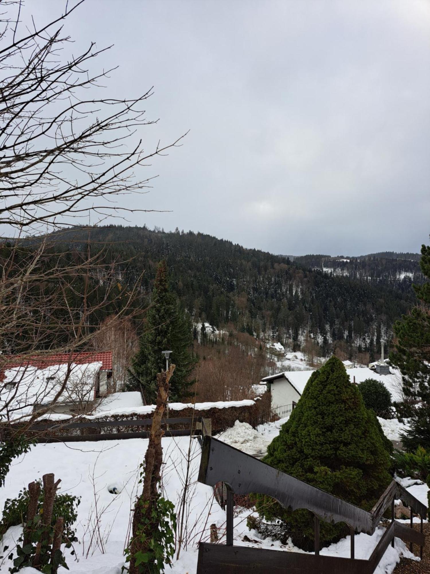 Grosse Ferienwohnung In Ruhiger Lage Mit Toller Aussicht In Triberg Триберг Экстерьер фото