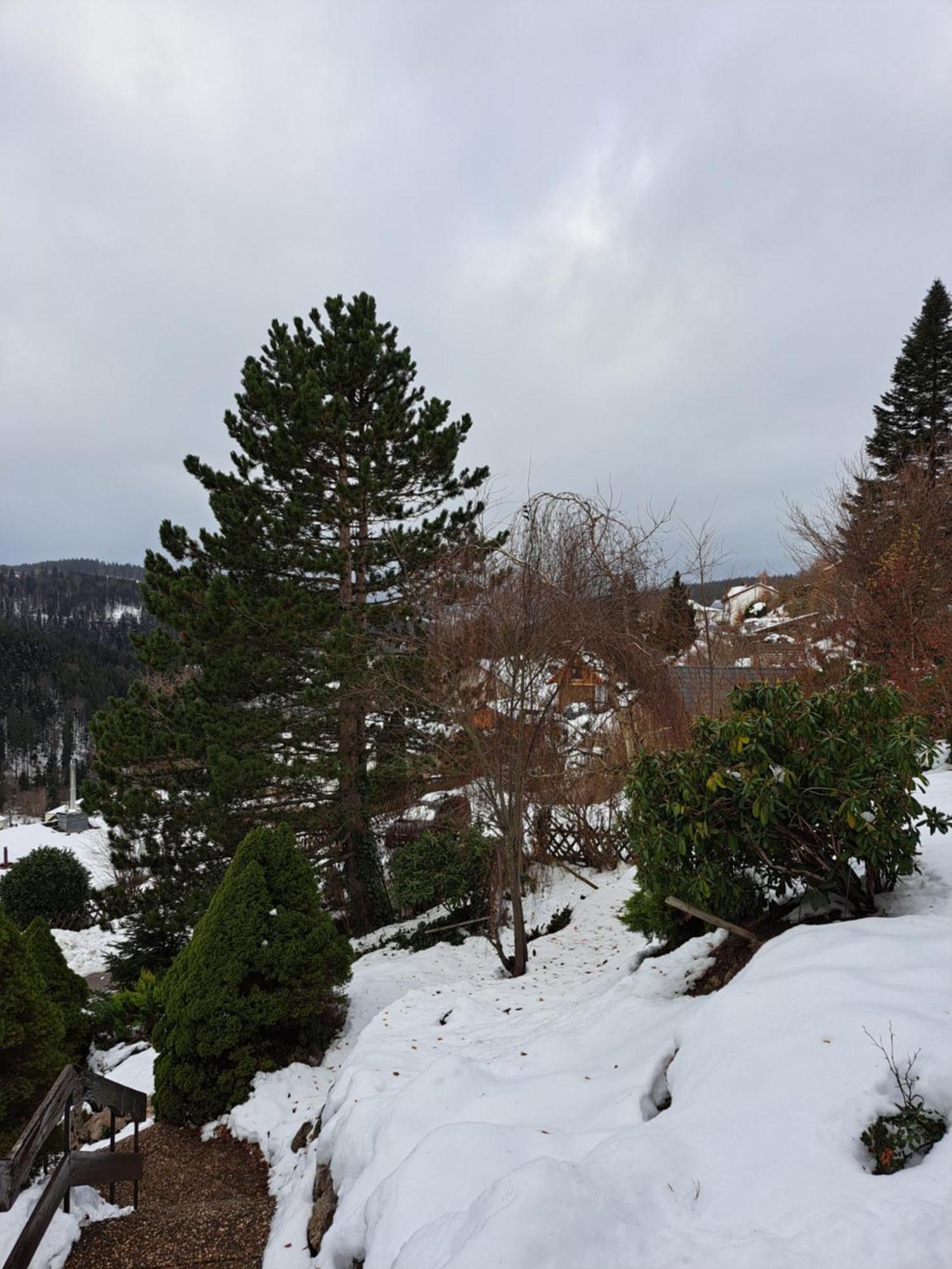 Grosse Ferienwohnung In Ruhiger Lage Mit Toller Aussicht In Triberg Триберг Экстерьер фото