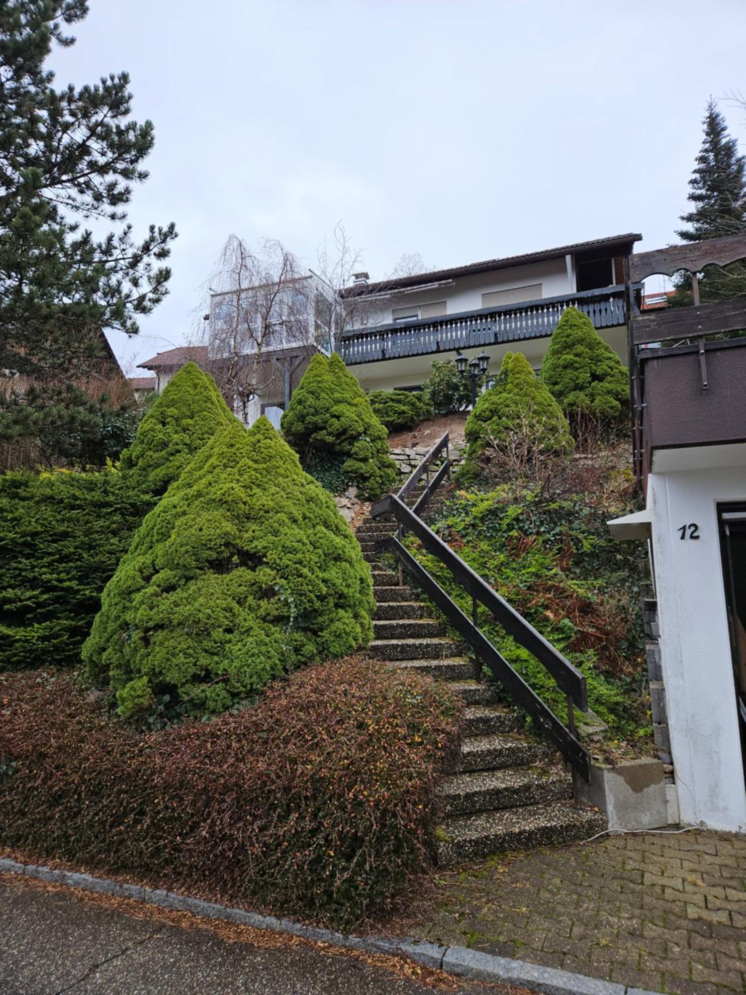 Grosse Ferienwohnung In Ruhiger Lage Mit Toller Aussicht In Triberg Триберг Экстерьер фото