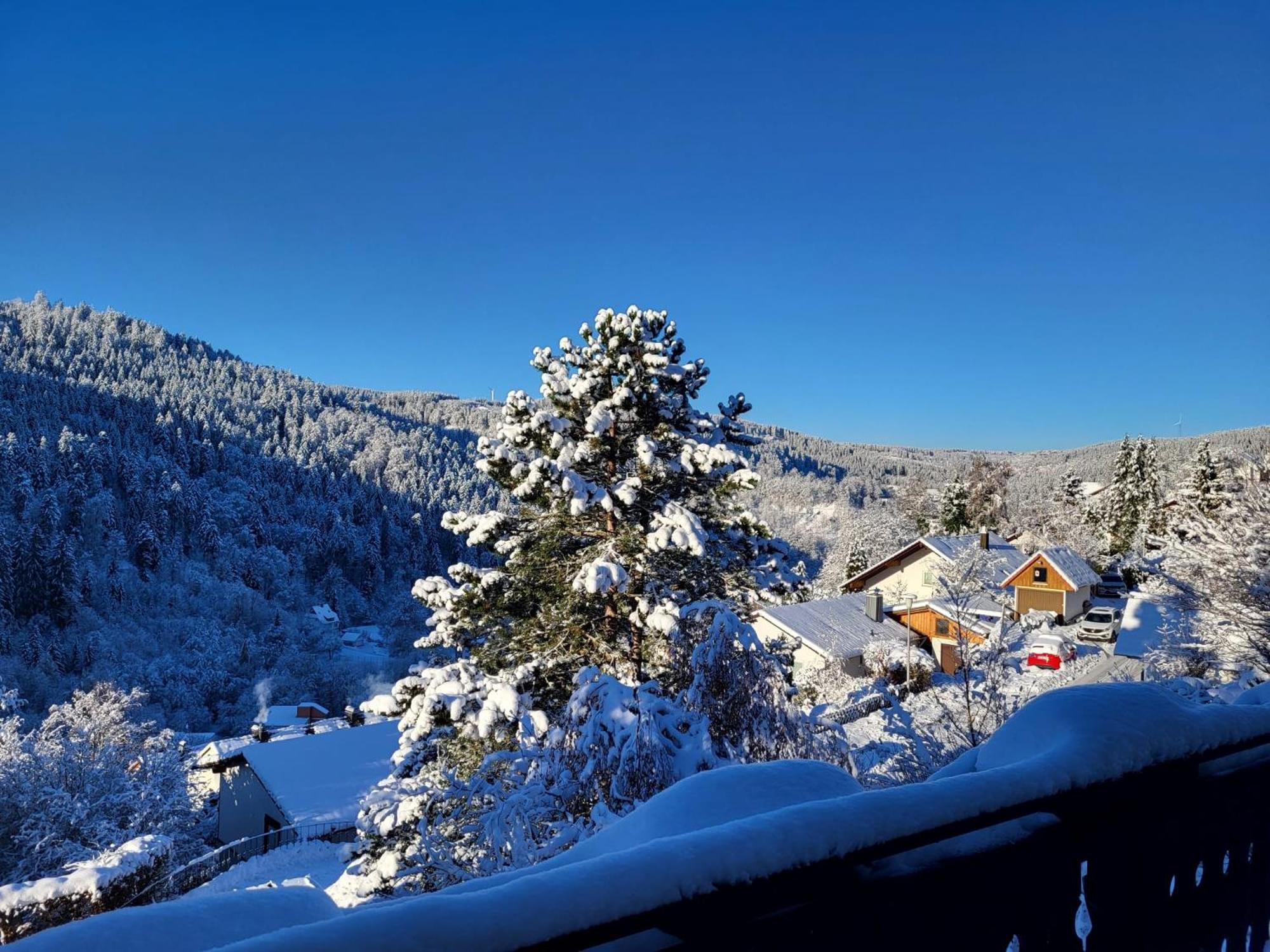 Grosse Ferienwohnung In Ruhiger Lage Mit Toller Aussicht In Triberg Триберг Экстерьер фото