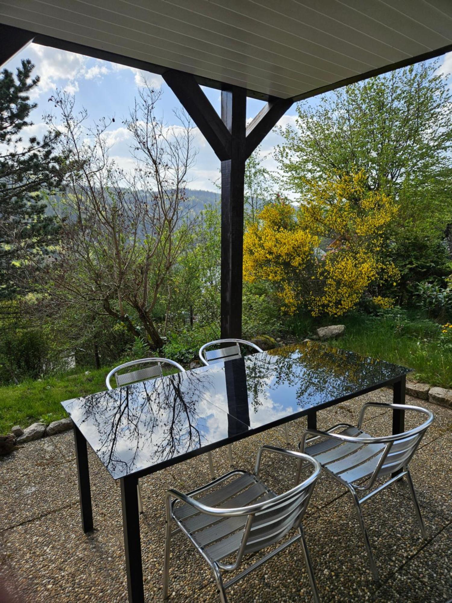 Grosse Ferienwohnung In Ruhiger Lage Mit Toller Aussicht In Triberg Триберг Экстерьер фото